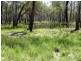 DURAH 27,000 ACRES, Chinchilla QLD 4413