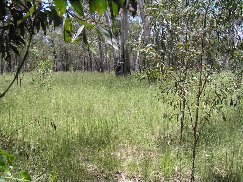 DURAH 27,000 ACRES, Chinchilla QLD 4413