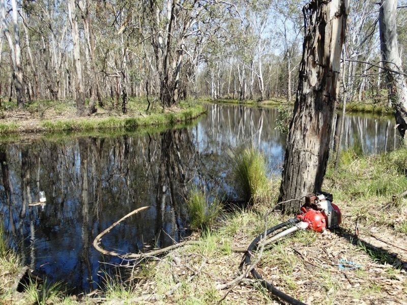 DURAH 27,000 ACRES, Chinchilla QLD 4413