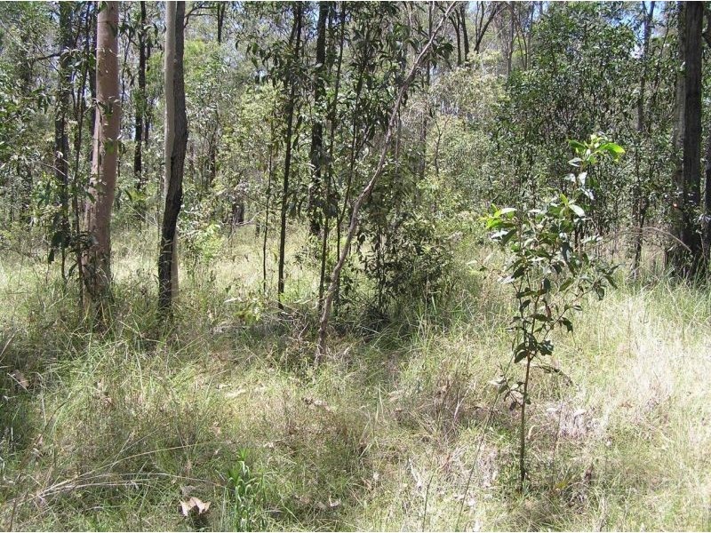 DURAH 27,000 ACRES, Chinchilla QLD 4413