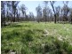 DURAH 27,000 ACRES, Chinchilla QLD 4413