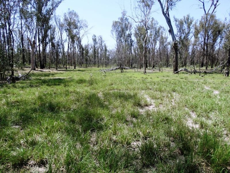 DURAH 27,000 ACRES, Chinchilla QLD 4413