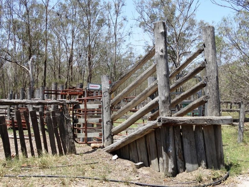 DURAH 27,000 ACRES, Chinchilla QLD 4413