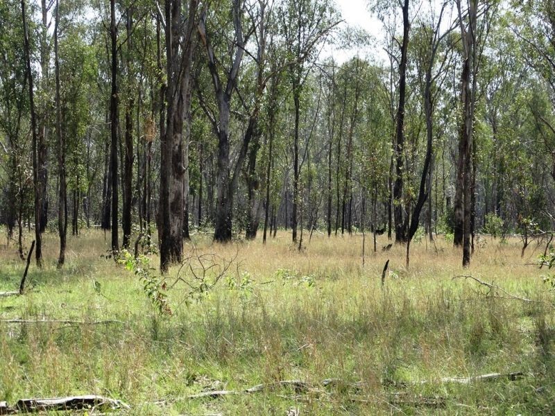 DURAH 27,000 ACRES, Chinchilla QLD 4413