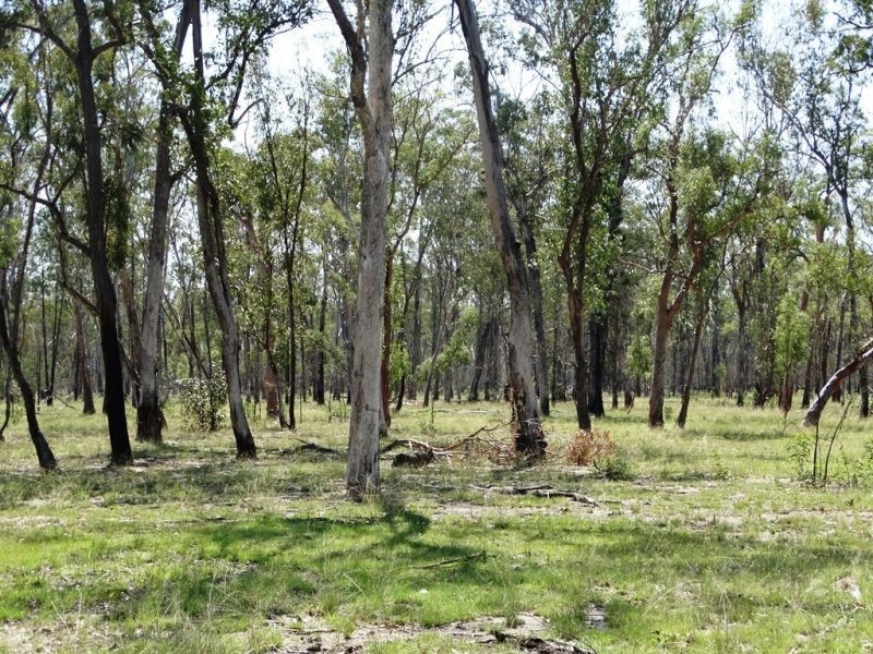 DURAH 27,000 ACRES, Chinchilla QLD 4413