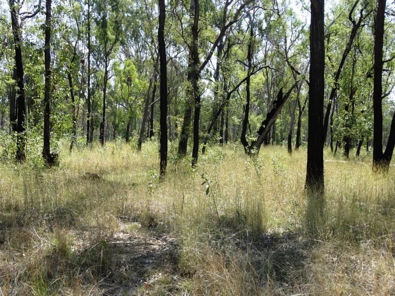 DURAH 27,000 ACRES, Chinchilla QLD 4413
