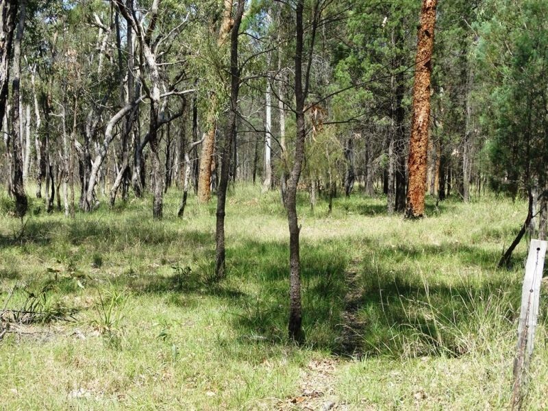 DURAH 27,000 ACRES, Chinchilla QLD 4413