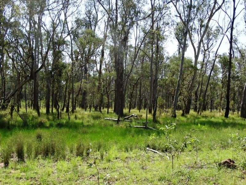 DURAH 27,000 ACRES, Chinchilla QLD 4413