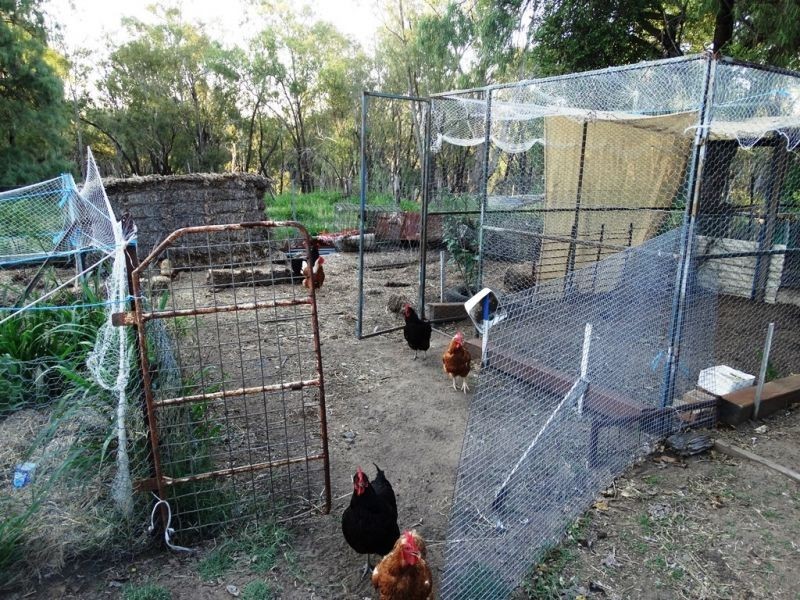 5 Wilson Street, Condamine QLD 4416