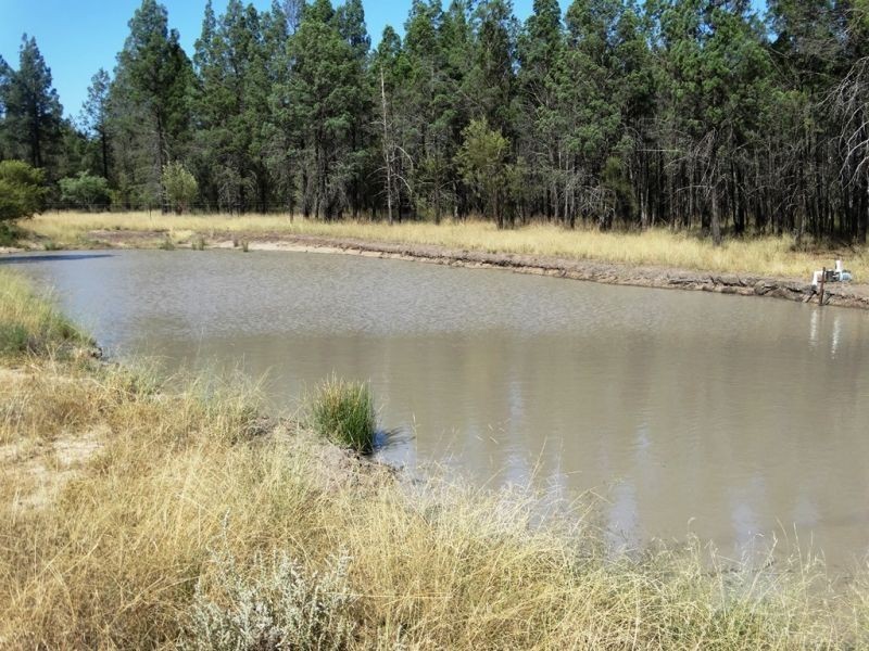 1279 ACRES Warra Kogan Road, Kogan QLD 4406
