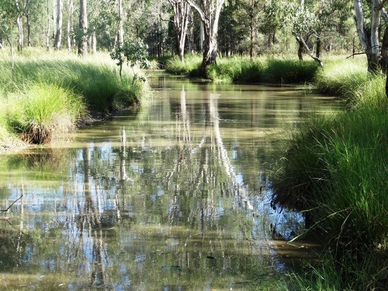 1279 ACRES Warra Kogan Road, Kogan QLD 4406