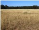 1279 ACRES Warra Kogan Road, Kogan QLD 4406