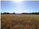 1279 ACRES Warra Kogan Road, Kogan QLD 4406