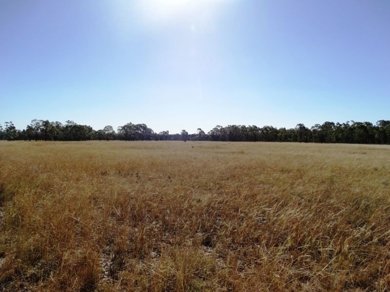 1279 ACRES Warra Kogan Road, Kogan QLD 4406