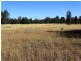 1279 ACRES Warra Kogan Road, Kogan QLD 4406