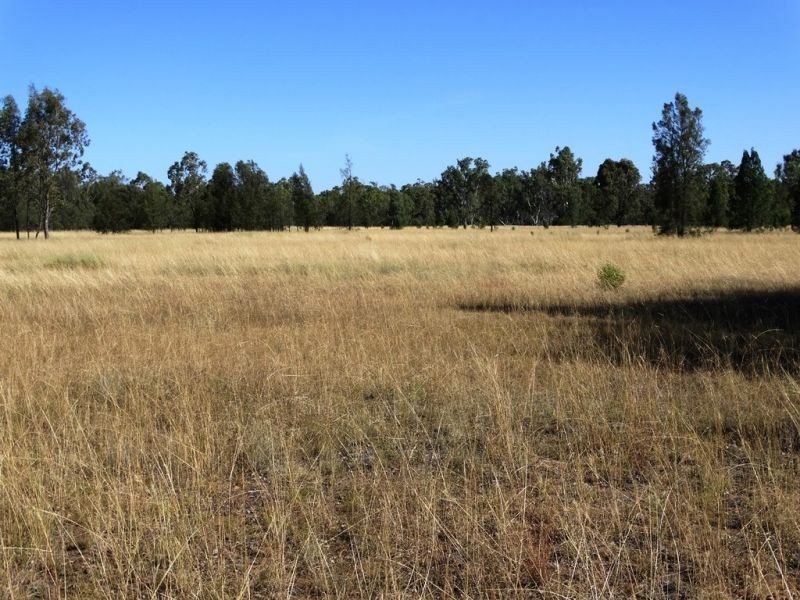 1279 ACRES Warra Kogan Road, Kogan QLD 4406