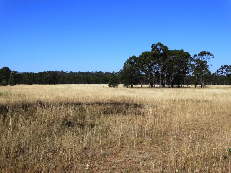 1279 ACRES Warra Kogan Road, Kogan QLD 4406