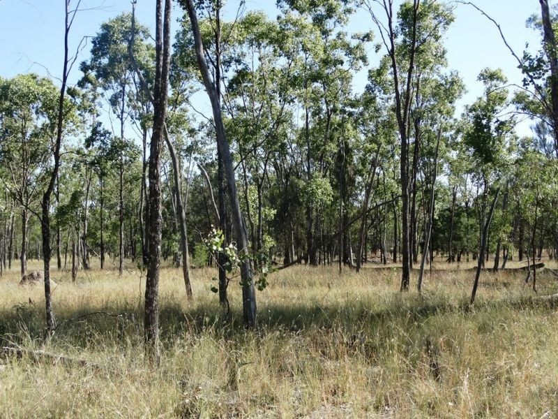 1279 ACRES Warra Kogan Road, Kogan QLD 4406