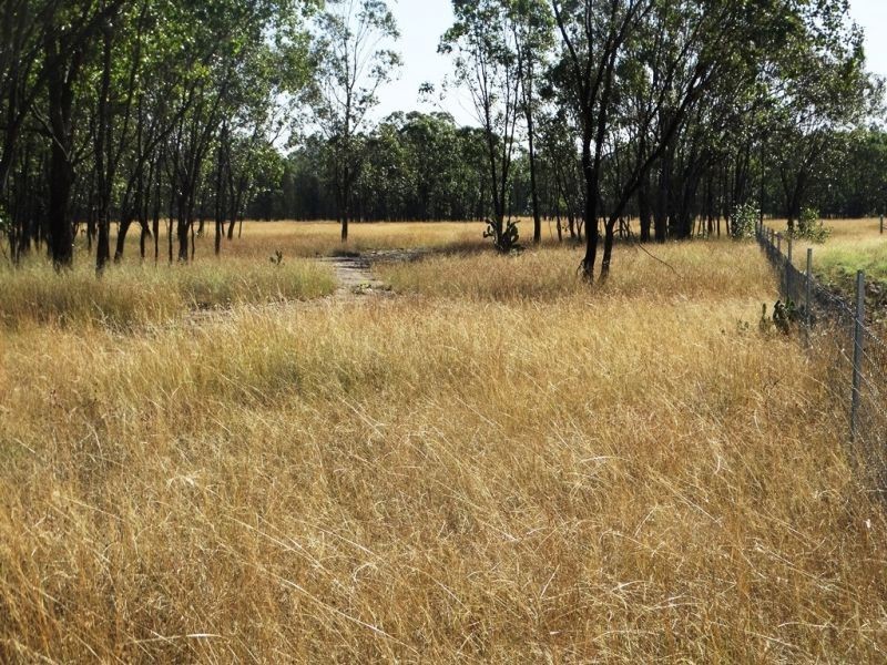 1279 ACRES Warra Kogan Road, Kogan QLD 4406
