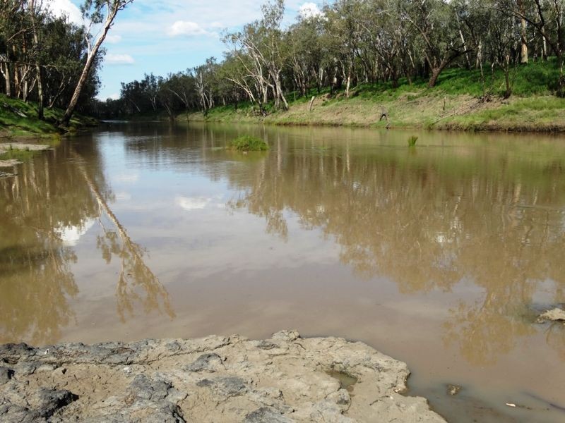 307 Redmarley Road, Condamine QLD 4416