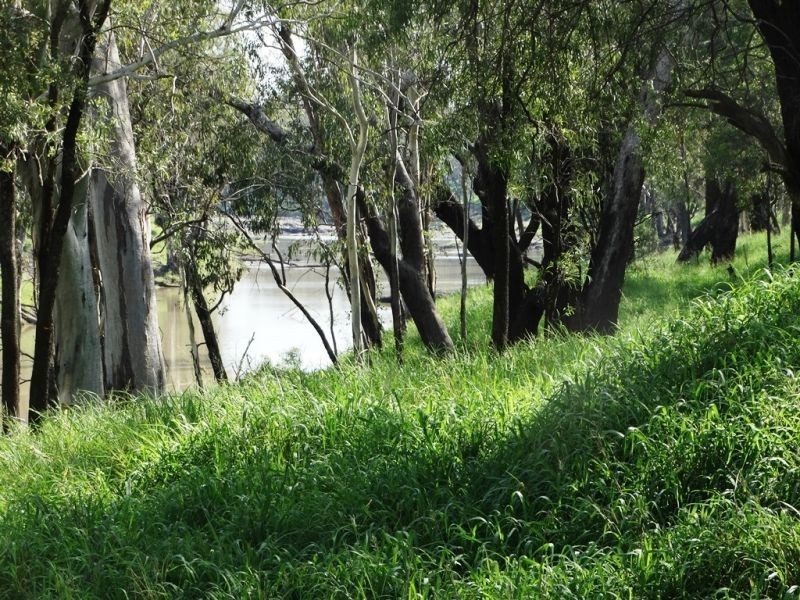 307 Redmarley Road, Condamine QLD 4416