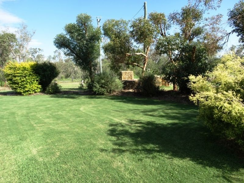 307 Redmarley Road, Condamine QLD 4416