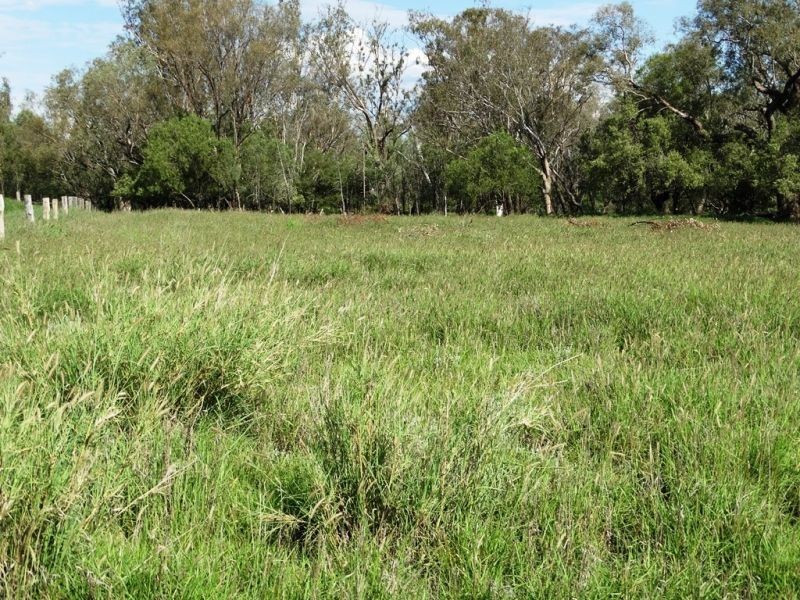 307 Redmarley Road, Condamine QLD 4416