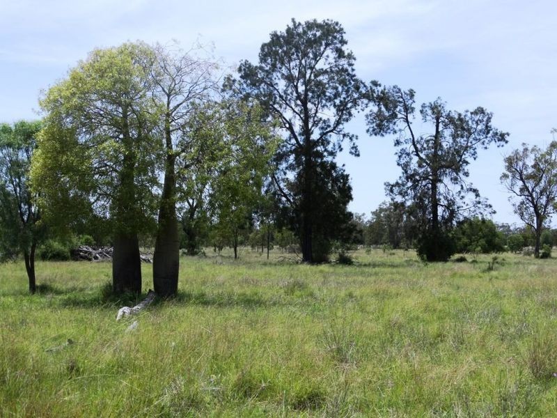 139 Acres Dahlers Road, Chinchilla QLD 4413