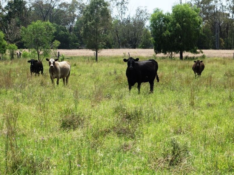 139 Acres Dahlers Road, Chinchilla QLD 4413