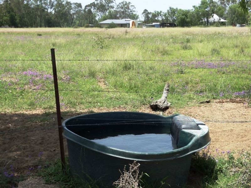 139 Acres Dahlers Road, Chinchilla QLD 4413