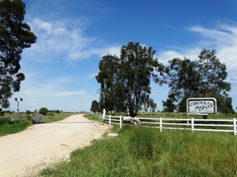 320 ACRES 729 Red Hill Road, Chinchilla QLD 4413