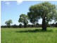 320 ACRES 729 Red Hill Road, Chinchilla QLD 4413