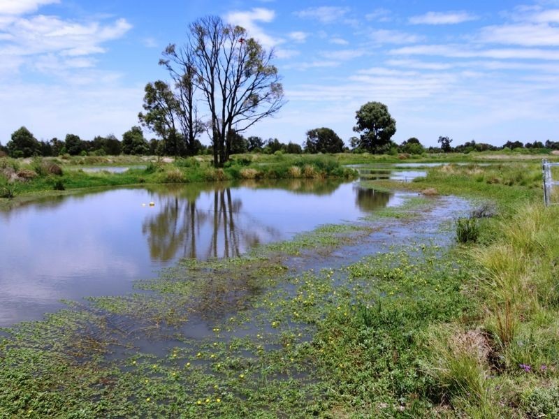 320 ACRES 729 Red Hill Road, Chinchilla QLD 4413