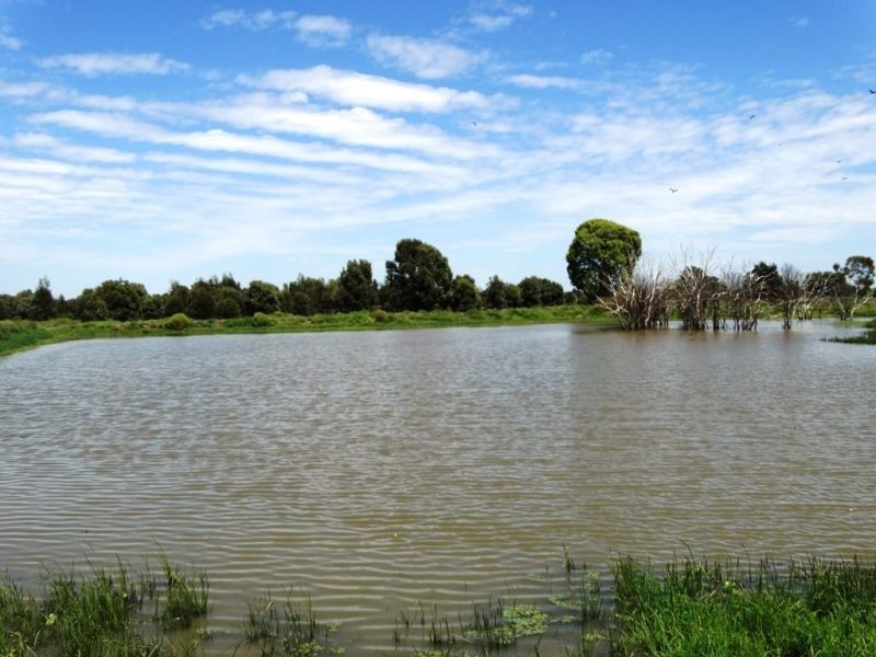 320 ACRES 729 Red Hill Road, Chinchilla QLD 4413