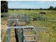 320 ACRES 729 Red Hill Road, Chinchilla QLD 4413
