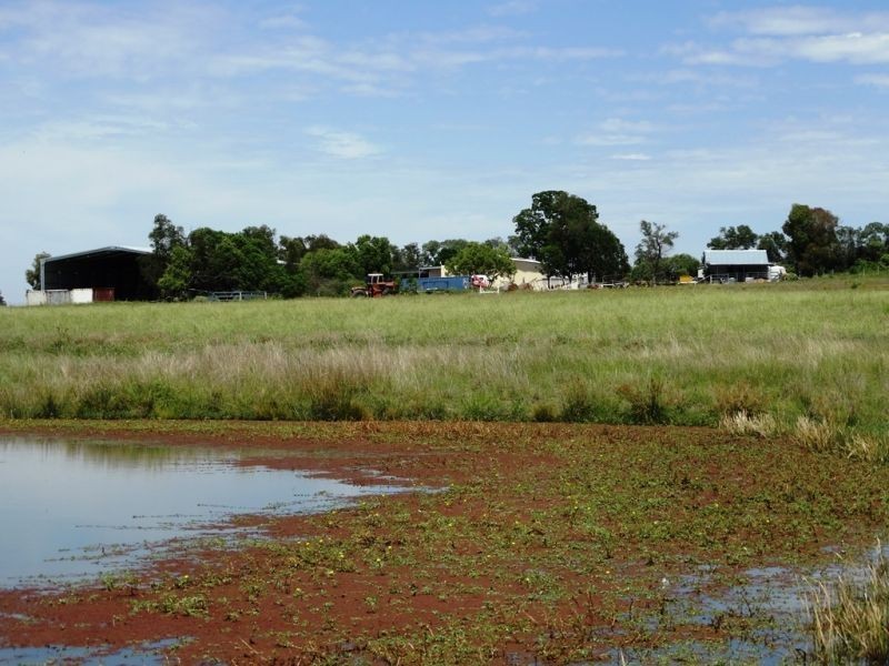 320 ACRES 729 Red Hill Road, Chinchilla QLD 4413