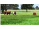 Rangeview 639 Acres, Chinchilla QLD 4413
