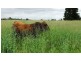 Rangeview 639 Acres, Chinchilla QLD 4413