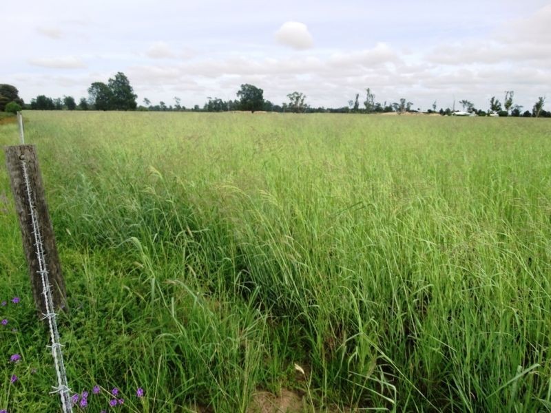Rangeview 639 Acres, Chinchilla QLD 4413