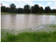 Rangeview 639 Acres, Chinchilla QLD 4413