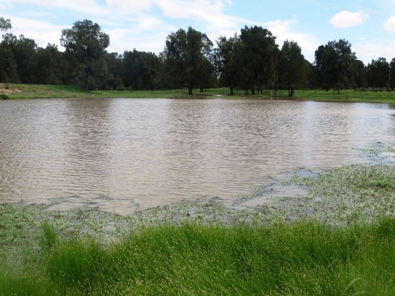 Rangeview 639 Acres, Chinchilla QLD 4413