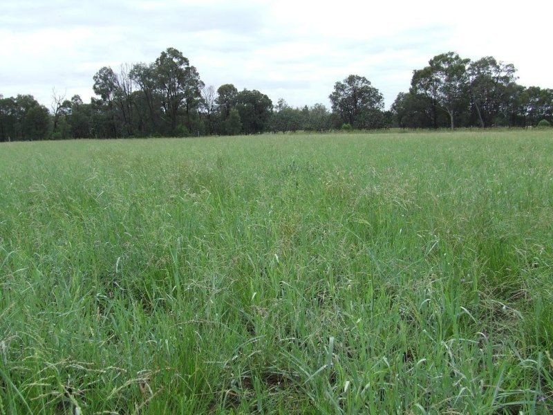 Melrose. Melrose. 640 Acres, Chinchilla QLD 4413