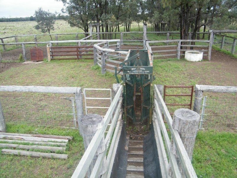 Melrose. Melrose. 640 Acres, Chinchilla QLD 4413