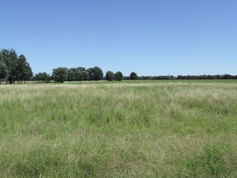 Melrose. Melrose. 640 Acres, Chinchilla QLD 4413