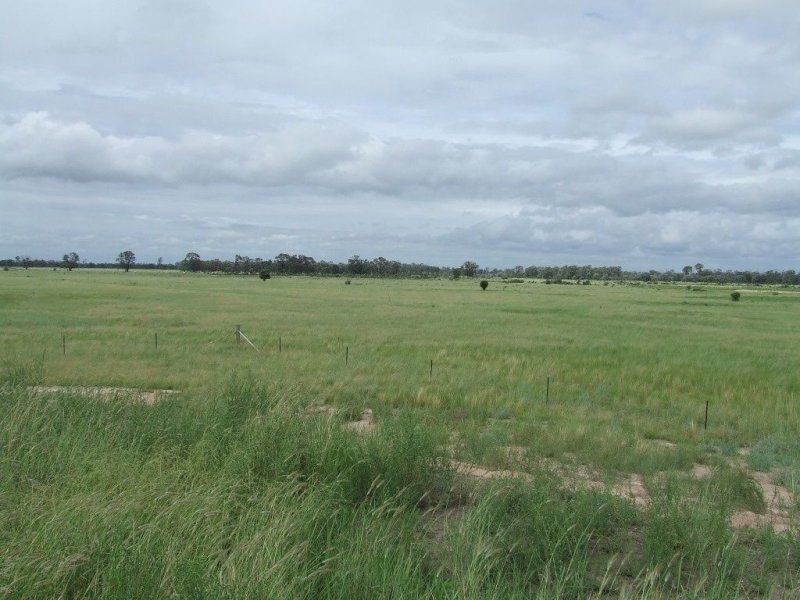 Melrose. Melrose. 640 Acres, Chinchilla QLD 4413