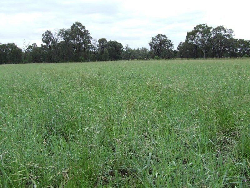 Melrose. Melrose. 640 Acres, Chinchilla QLD 4413