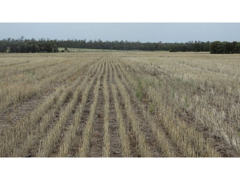 “Lockvoil” 1403 ACRES, Dulacca QLD 4425
