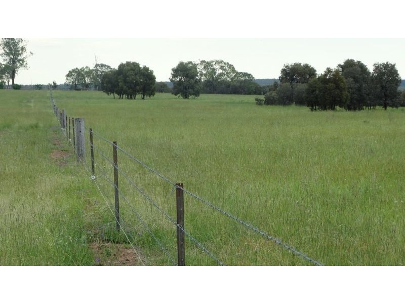 “Lockvoil” 1403 ACRES, Dulacca QLD 4425