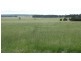 “Lockvoil” 1403 ACRES, Dulacca QLD 4425