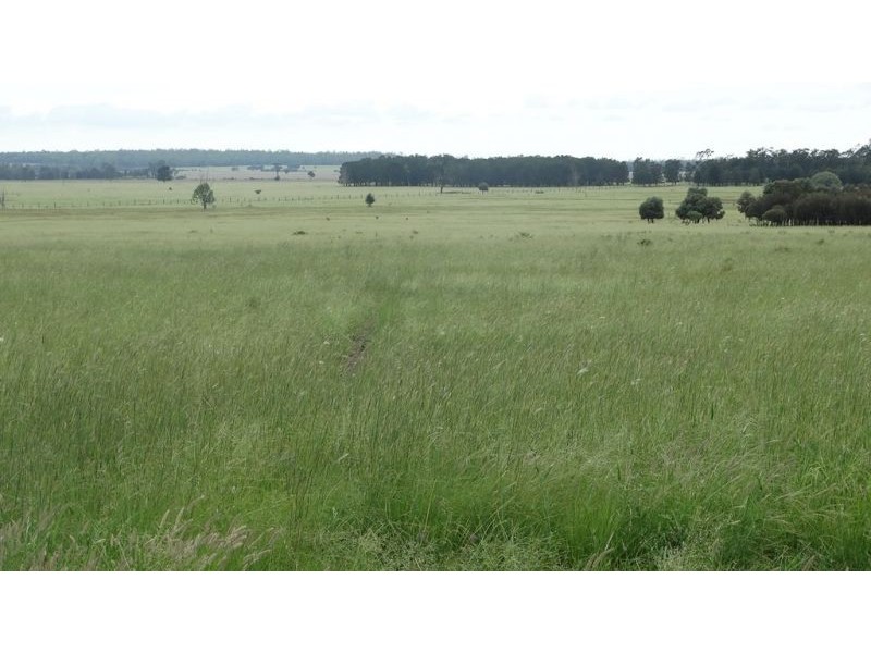 “Lockvoil” 1403 ACRES, Dulacca QLD 4425